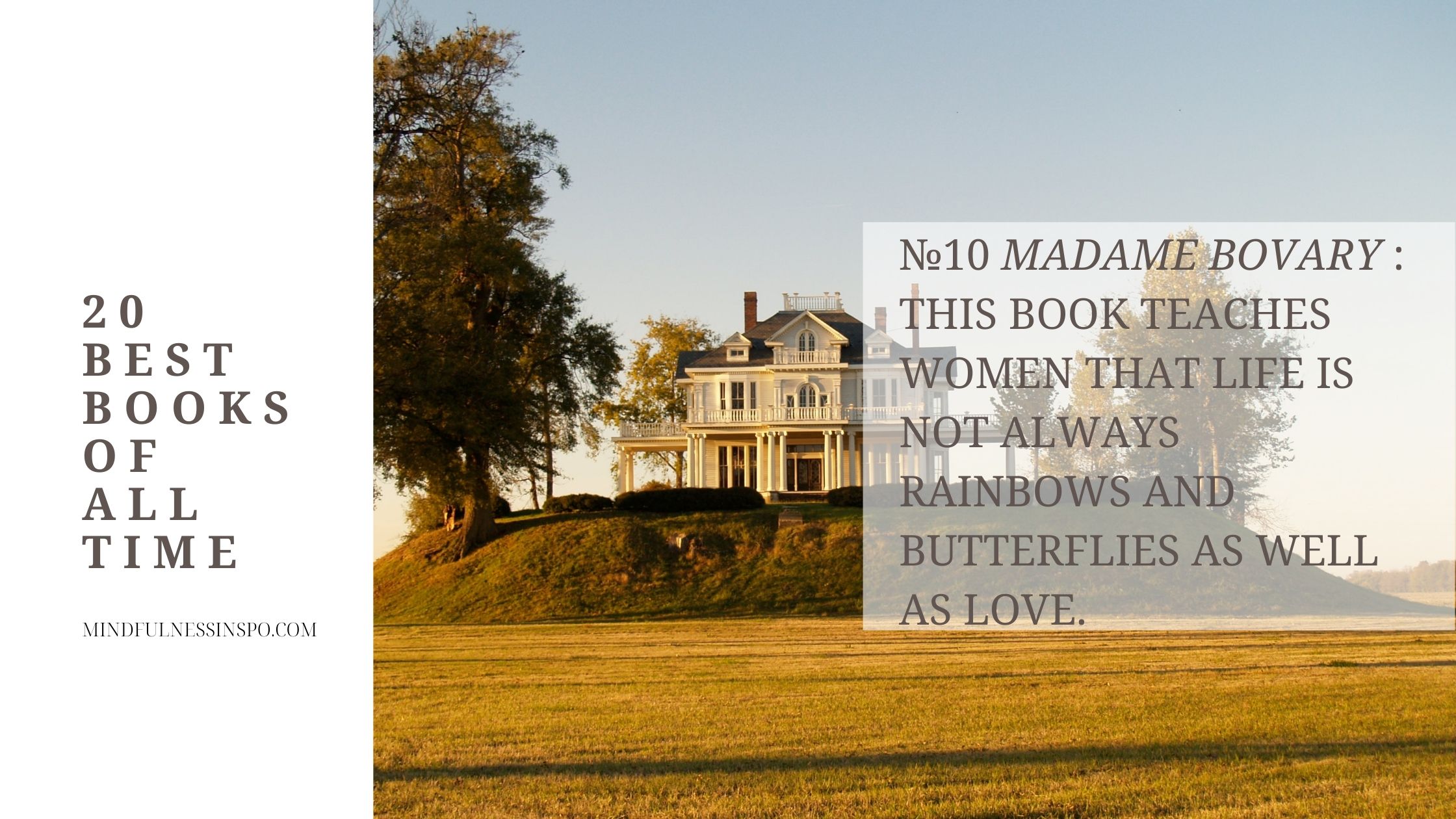 blogpost image. 20 best books of all time. number 10 Madame Bovary. This book teaches women that life is not always rainbows and butterflies as well as love. more on mindfulnessinspo.com